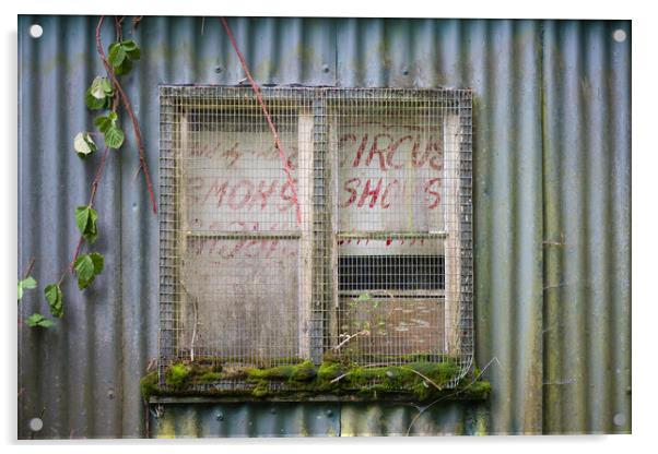 Old circus poster in barn window. Acrylic by Bryn Morgan