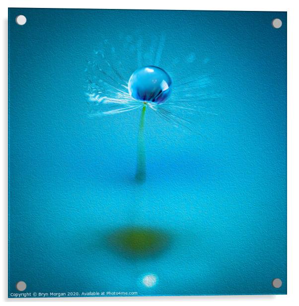 Dandelion and water droplet amongst the swirls Acrylic by Bryn Morgan