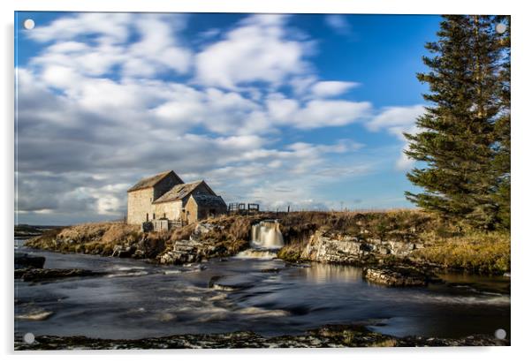 Scottish River Scene  Acrylic by Steve Lansdell