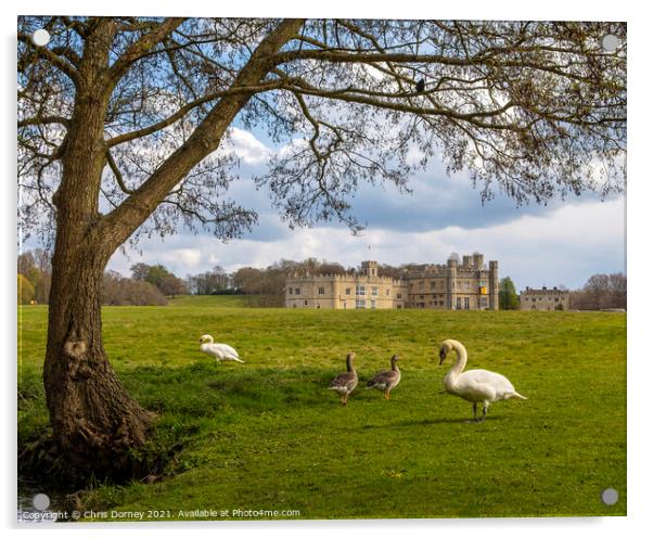Swans and Geese at Leeds Castle in Kent, UK Acrylic by Chris Dorney