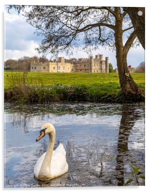 Swan at Leeds Castle in Kent, UK Acrylic by Chris Dorney