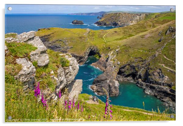 Beautiful View from Tintagel Castle in Cornwall, UK Acrylic by Chris Dorney
