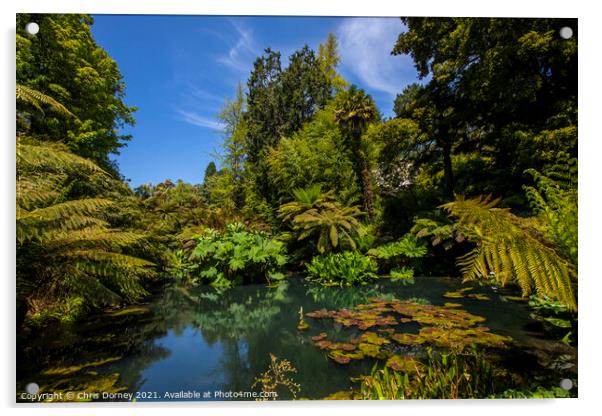 The Jungle at the Lost Gardens of Heligan in Cornwall, UK Acrylic by Chris Dorney