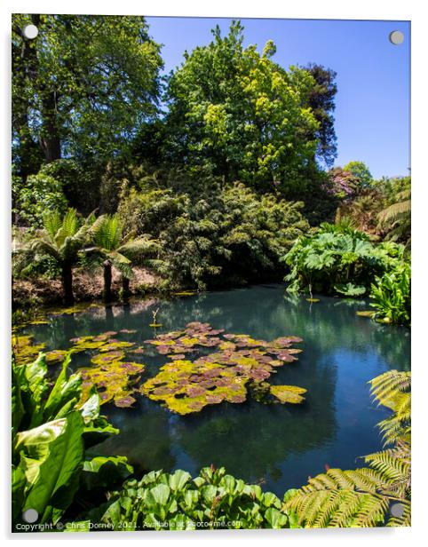 The Jungle at the Lost Gardens of Heligan in Cornwall, UK Acrylic by Chris Dorney