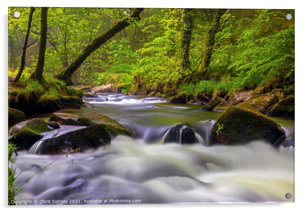 Cascade at Golitha Falls in Cornwall, UK Acrylic by Chris Dorney