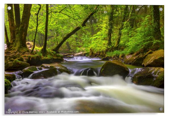 Cascade at Golitha Falls in Cornwall, UK Acrylic by Chris Dorney