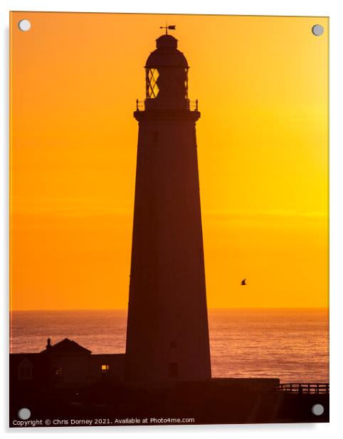 Sunrise at St. Marys Lighthouse in Northumberland, UK Acrylic by Chris Dorney