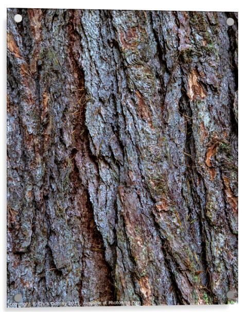 Tree Bark Close-up Acrylic by Chris Dorney