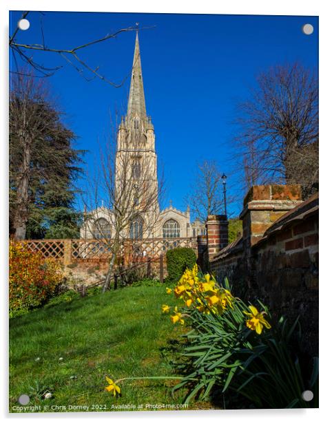 St. Marys Church and Daffodils in Saffron Walden, Essex, UK Acrylic by Chris Dorney