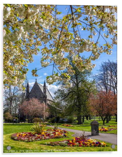 St. Johns Church viewed from St. James Park in Kings Lynn, Norfo Acrylic by Chris Dorney