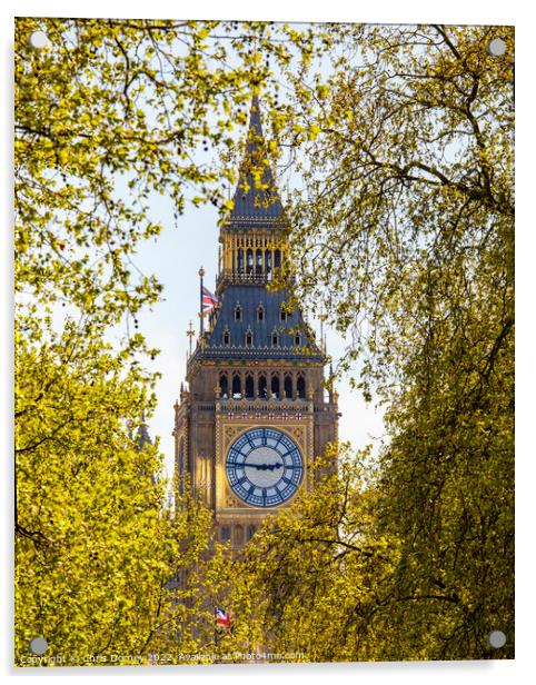 Elizabeth Tower viewed from the Victoria Embankment in London, U Acrylic by Chris Dorney