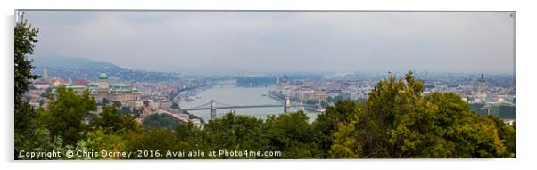 Budapest Panorama from Gellert Hill Acrylic by Chris Dorney