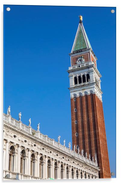 St. Marks Campanile in Venice Acrylic by Chris Dorney