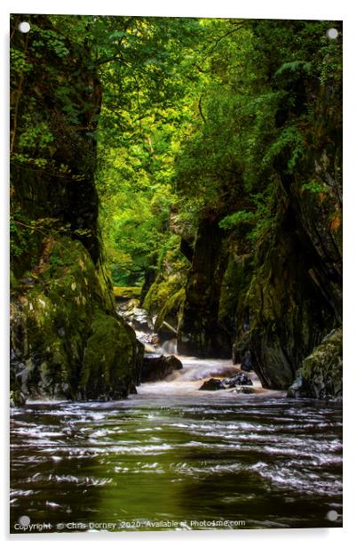 The Fairy Glen in Betws-y-Coed, Wales Acrylic by Chris Dorney