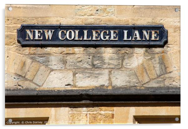New College Lane in Oxford, UK Acrylic by Chris Dorney