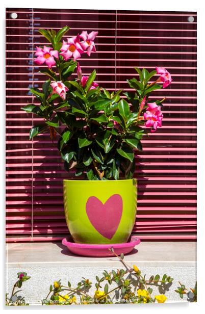 Flowers in a Heart Plant Pot Acrylic by Chris Dorney