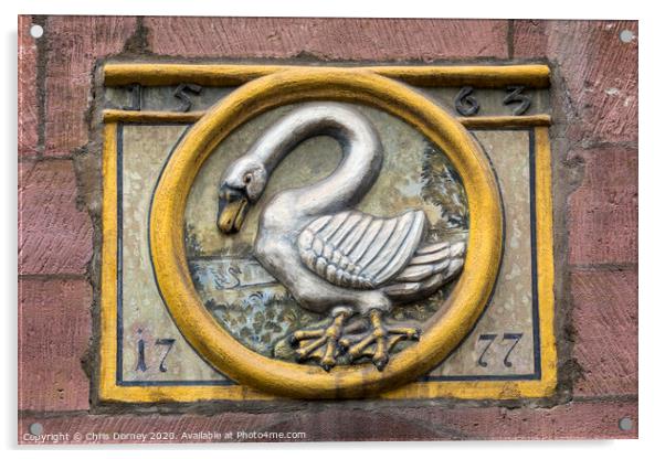 Swan Sculpture in Nuremberg Acrylic by Chris Dorney