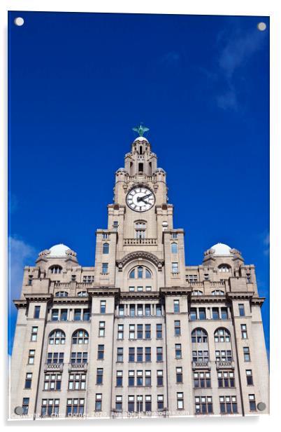 Royal Liver Building in Liverpool Acrylic by Chris Dorney