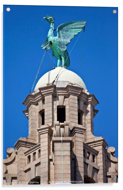 Liver Bird Perched on the Royal Liver Building Acrylic by Chris Dorney