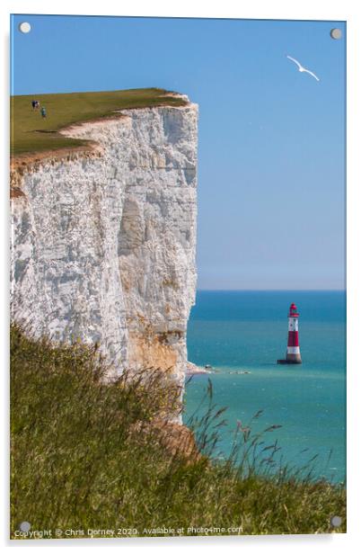 Beachy Head in East Sussex Acrylic by Chris Dorney