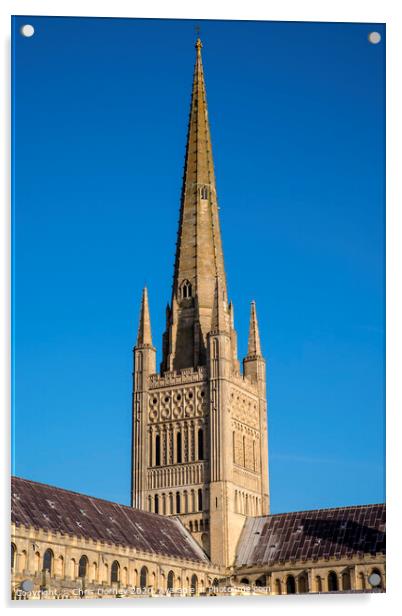 Norwich Cathedral Acrylic by Chris Dorney