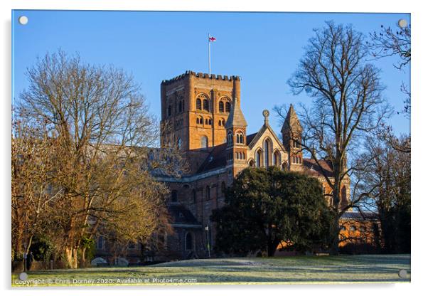 St. Albans Cathedral Acrylic by Chris Dorney