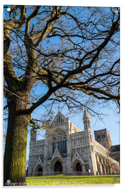 St. Albans Cathedral Acrylic by Chris Dorney