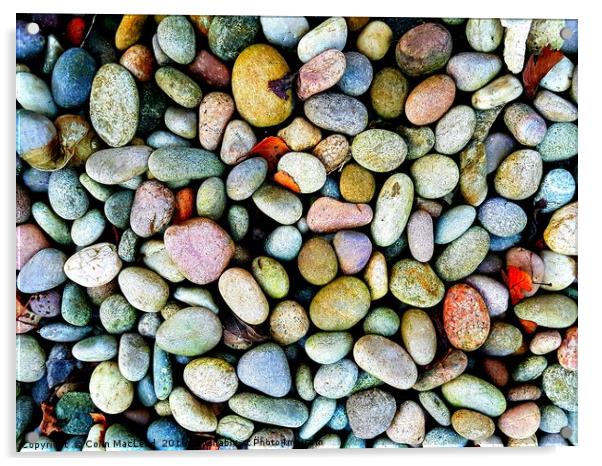 Pebbles Acrylic by Colin MacLeod