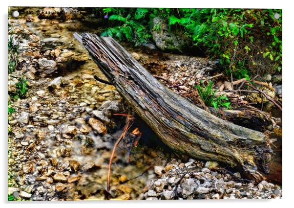 flowing stream in the forest Acrylic by Paul Boazu