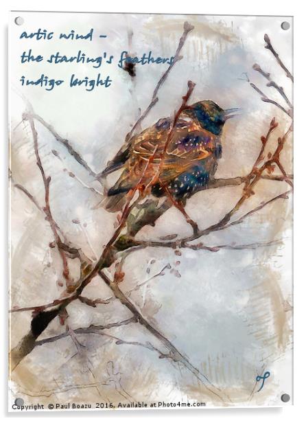 Winter indigo  Acrylic by Paul Boazu