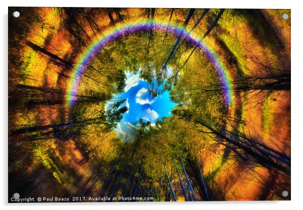 rainbow eye of the forest Acrylic by Paul Boazu