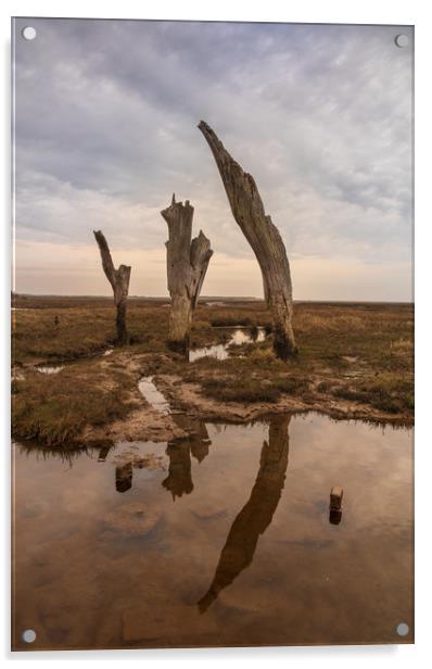 Thornham Staithe posts Acrylic by Graeme Taplin Landscape Photography