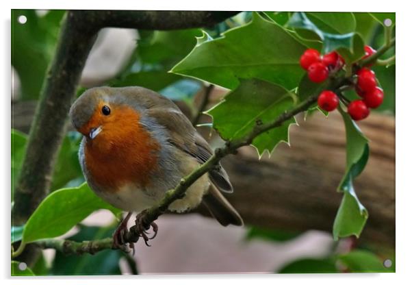 Robin and Holly Acrylic by John Iddles