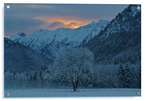 Winter's Dawn Acrylic by John Iddles