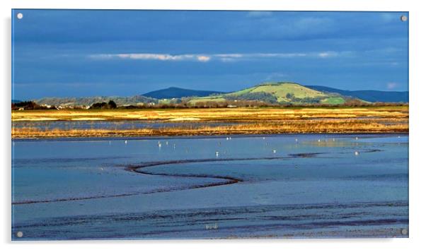 Steart Marshes in late winter sunlight             Acrylic by John Iddles