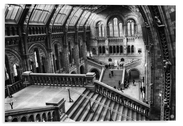 London Natural History Museum Acrylic by Milton Cogheil