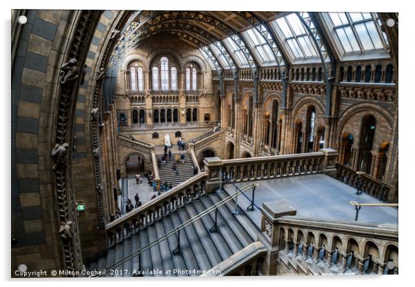 Natural History Museum, London Acrylic by Milton Cogheil