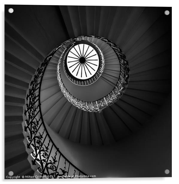 The Tulip Spiral Stairs - Dark Acrylic by Milton Cogheil