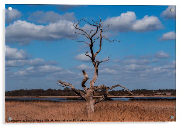 Dead Tree. Snape, Suffolk, UK. Acrylic by Nichol Pope