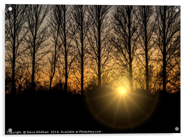 Sunset through trees Acrylic by Steve Whitham