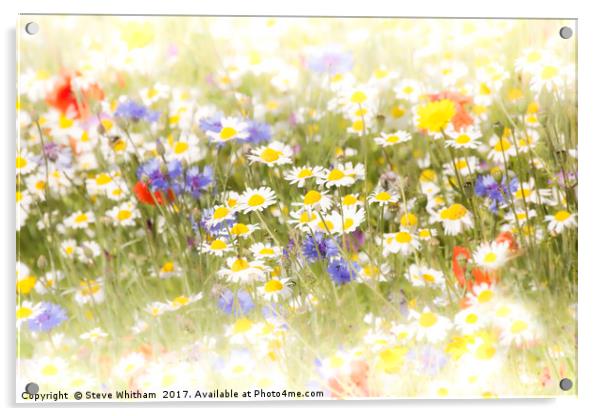 Dreamy meadow Acrylic by Steve Whitham