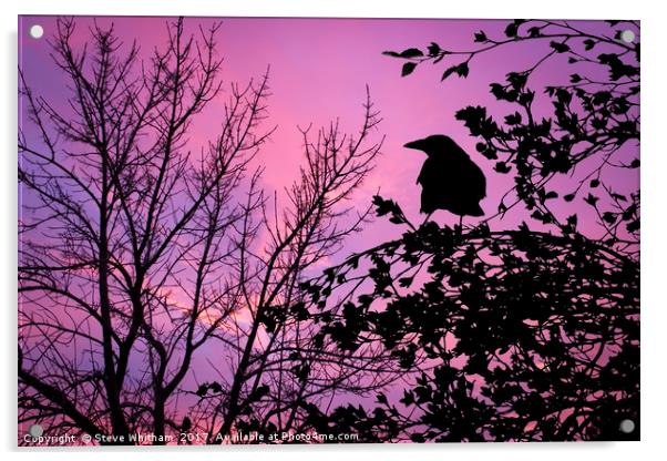 A Sunset to Crow Over. Acrylic by Steve Whitham