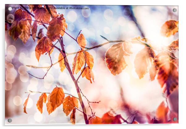 Autumn Bokeh. Acrylic by Steve Whitham