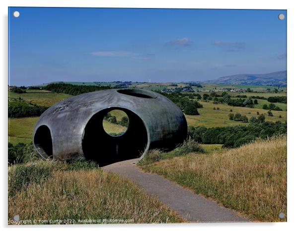 Atom at Wycoller Country Park Acrylic by Tom Curtis