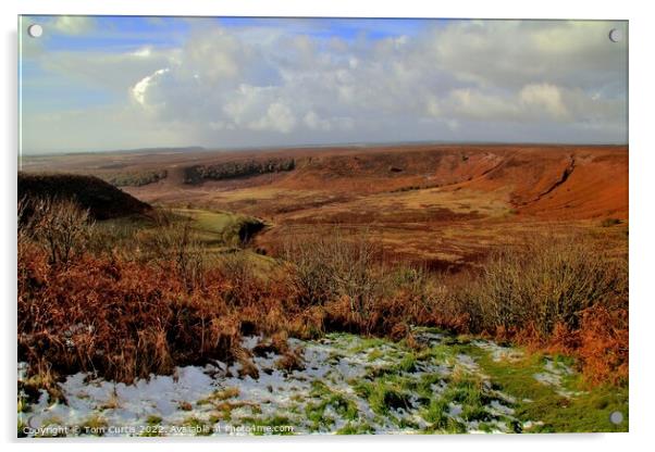 Hole of Horcum North Yorkshire Acrylic by Tom Curtis