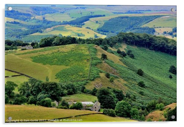 Derbyshire Dales Near Stanedge Edge  Acrylic by Tom Curtis