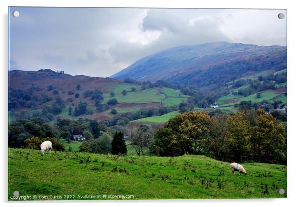 From Loughrigg Fell Cumbria Acrylic by Tom Curtis