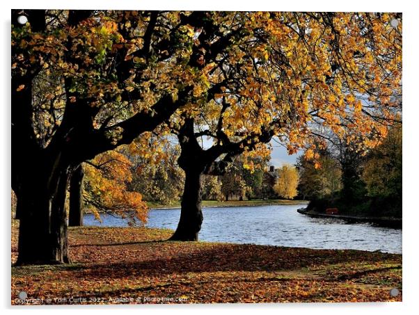 Autumn River Ouse York Acrylic by Tom Curtis