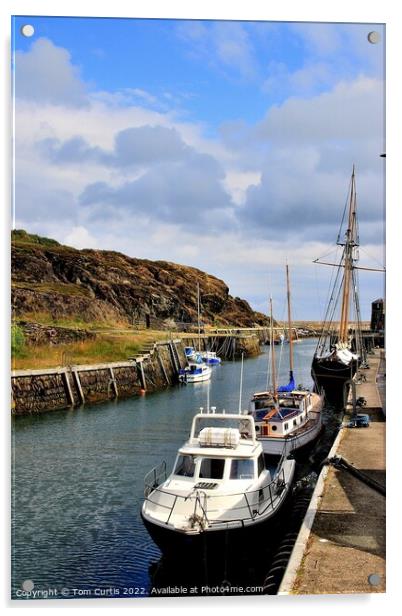 Amlwch Harbour Anglesey Wales Acrylic by Tom Curtis