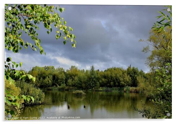 Ferrymoor Flash Nature Reserve Acrylic by Tom Curtis